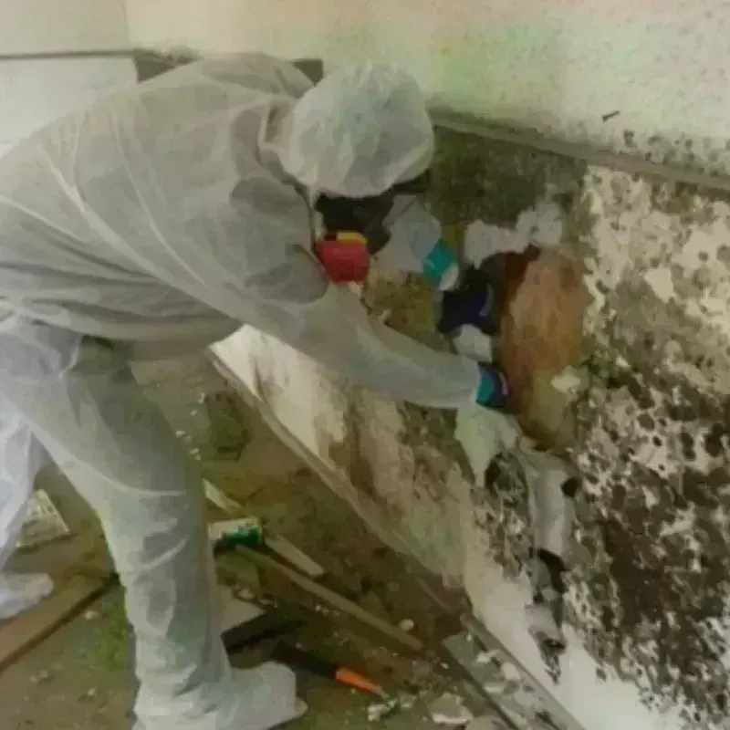 Mold Remediation and Removal in McLoud, OK