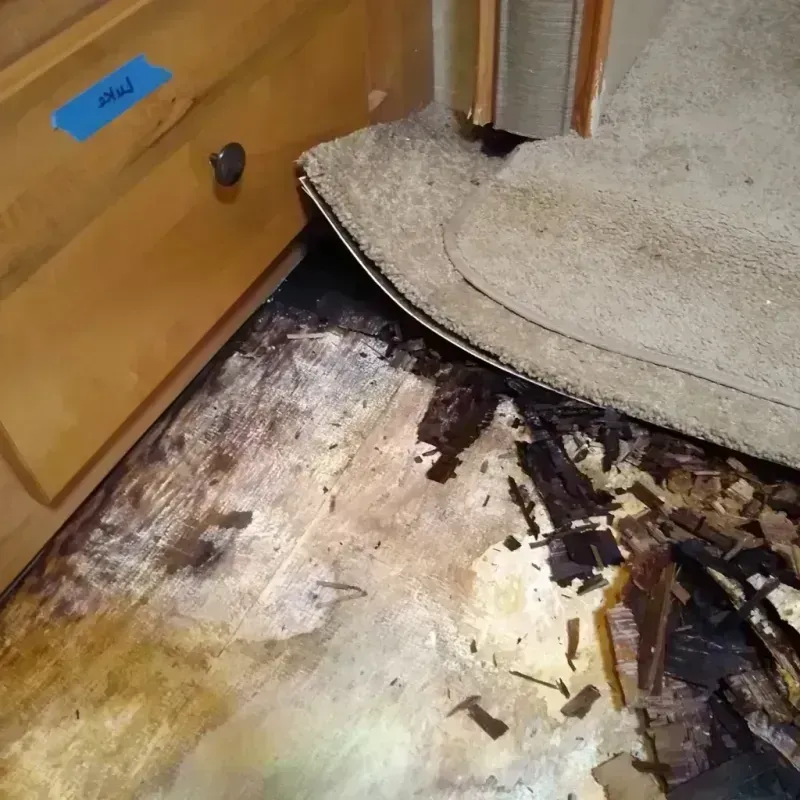 Wood Floor Water Damage in McLoud, OK